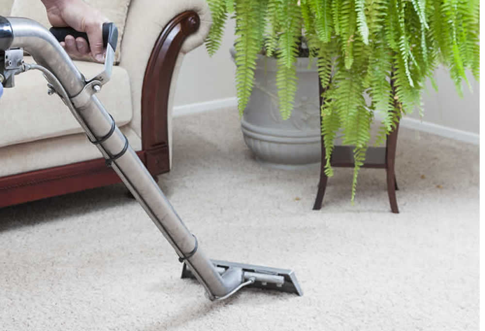 Home Carpet Cleaning Tips From The Pros 